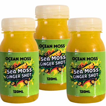 SEA MOSS & GINGER SHOT (120ml) – WITH TURMERIC & APPLES