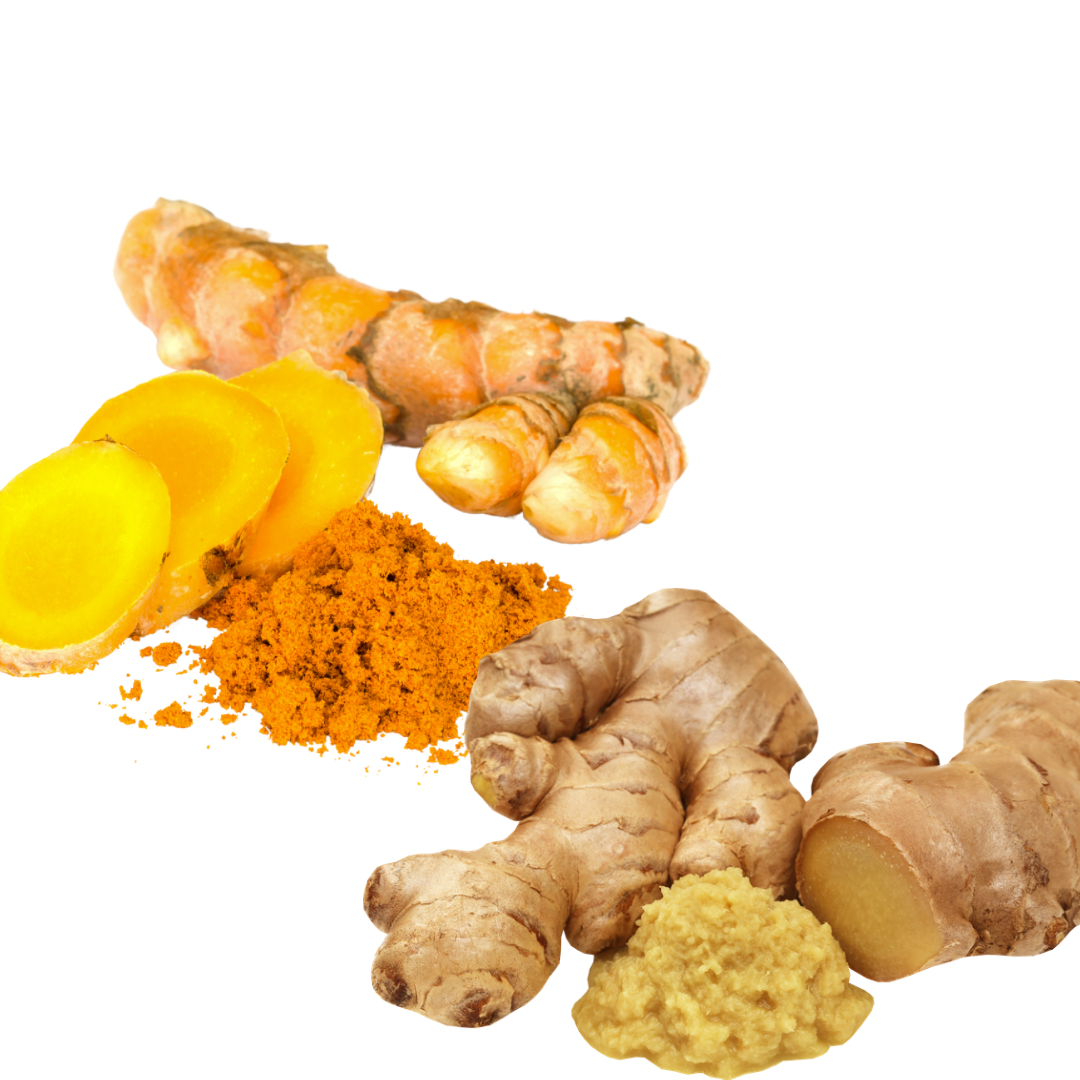 OCEAN MOSS TURMERIC & GINGER SEA MOSS GEL (380ml)