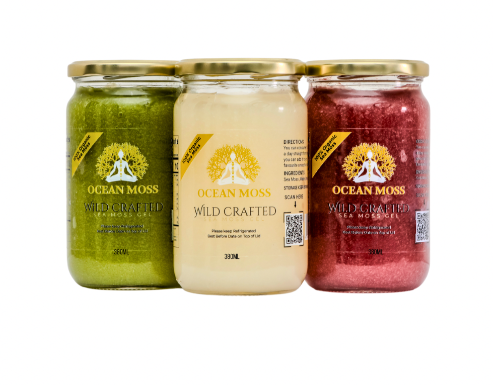 "OCEAN MOSS Sea Moss Gels Bundle x3 (380ml) – Premium Irish Sea Moss Gel Superfood Pack"