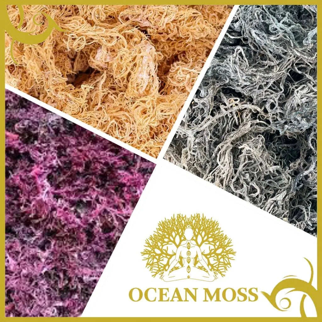 Wholesale Sea Moss