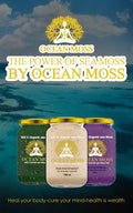 The Power of Sea Moss Book E-BOOK - Ocean Moss