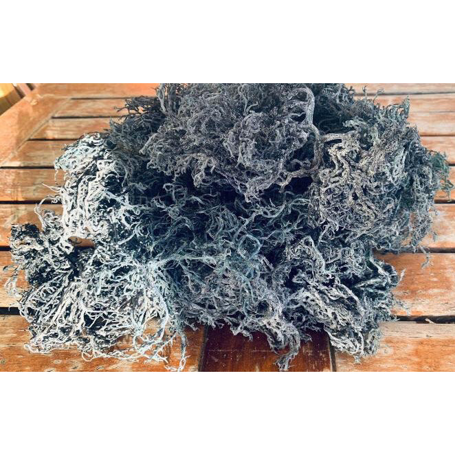 Green Dried Sea Moss 1KG - Ocean Moss