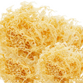 Gold Dried Sea Moss 1KG - Ocean Moss