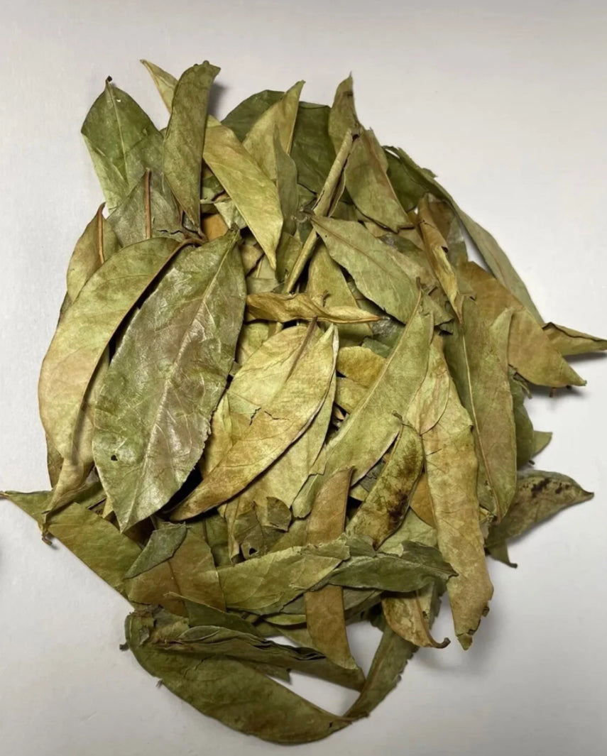 OceanMoss Soursop Leaf 15g – Natural Immune & Detox Support | Uk