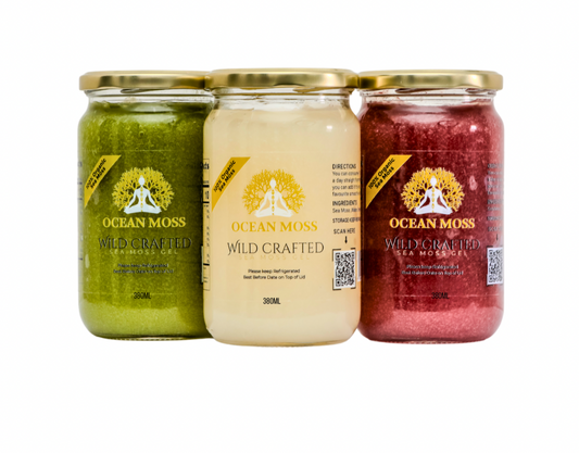 "OCEAN MOSS Sea Moss Gels Bundle x3 (380ml) – Premium Irish Sea Moss Gel Superfood Pack"