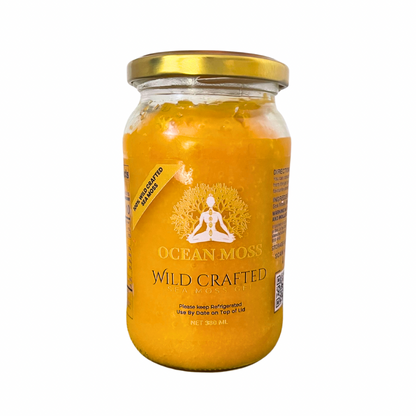 "OCEAN MOSS Turmeric & Ginger Sea Moss Gel 380ml – Organic Sea Moss Superfood for Immunity and Digestion"
