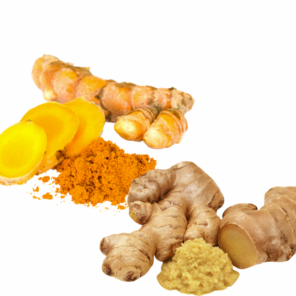 Sea Moss Gel Infused with Endurance Wellness Products