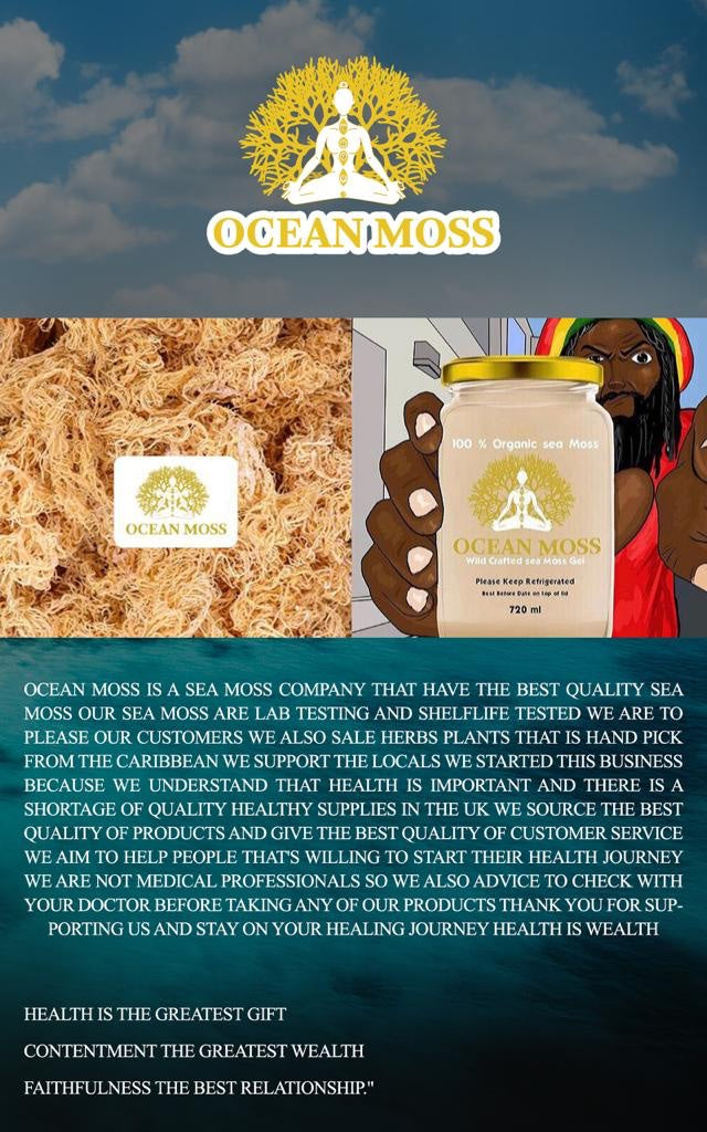 The Power of Sea Moss E-Book cover – digital sea moss guide